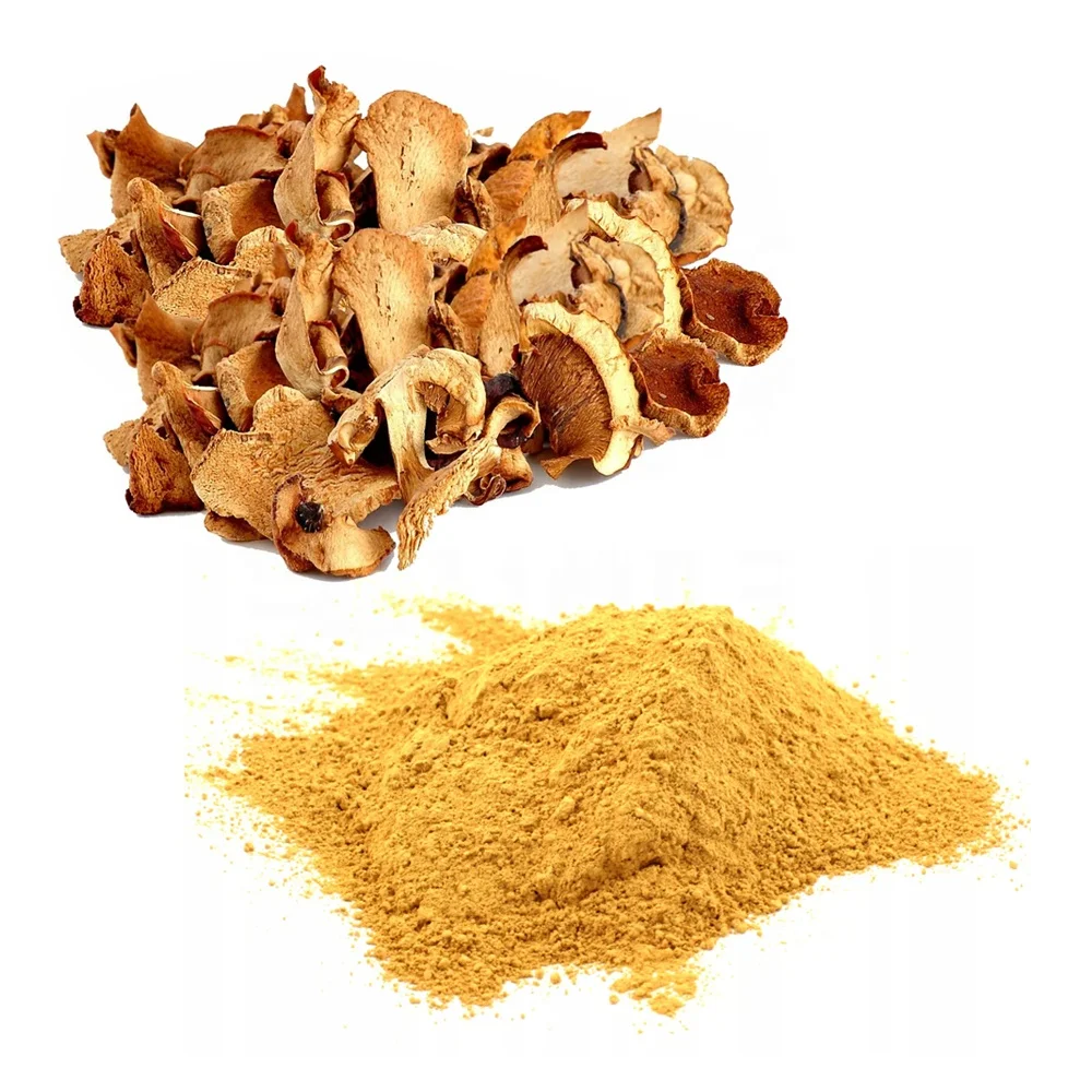 CHANTERELLE MUSHROOMS (fine ground powder, whole, pieces) 100% organic water-soluble chanterelle mushroom powder for healhy food