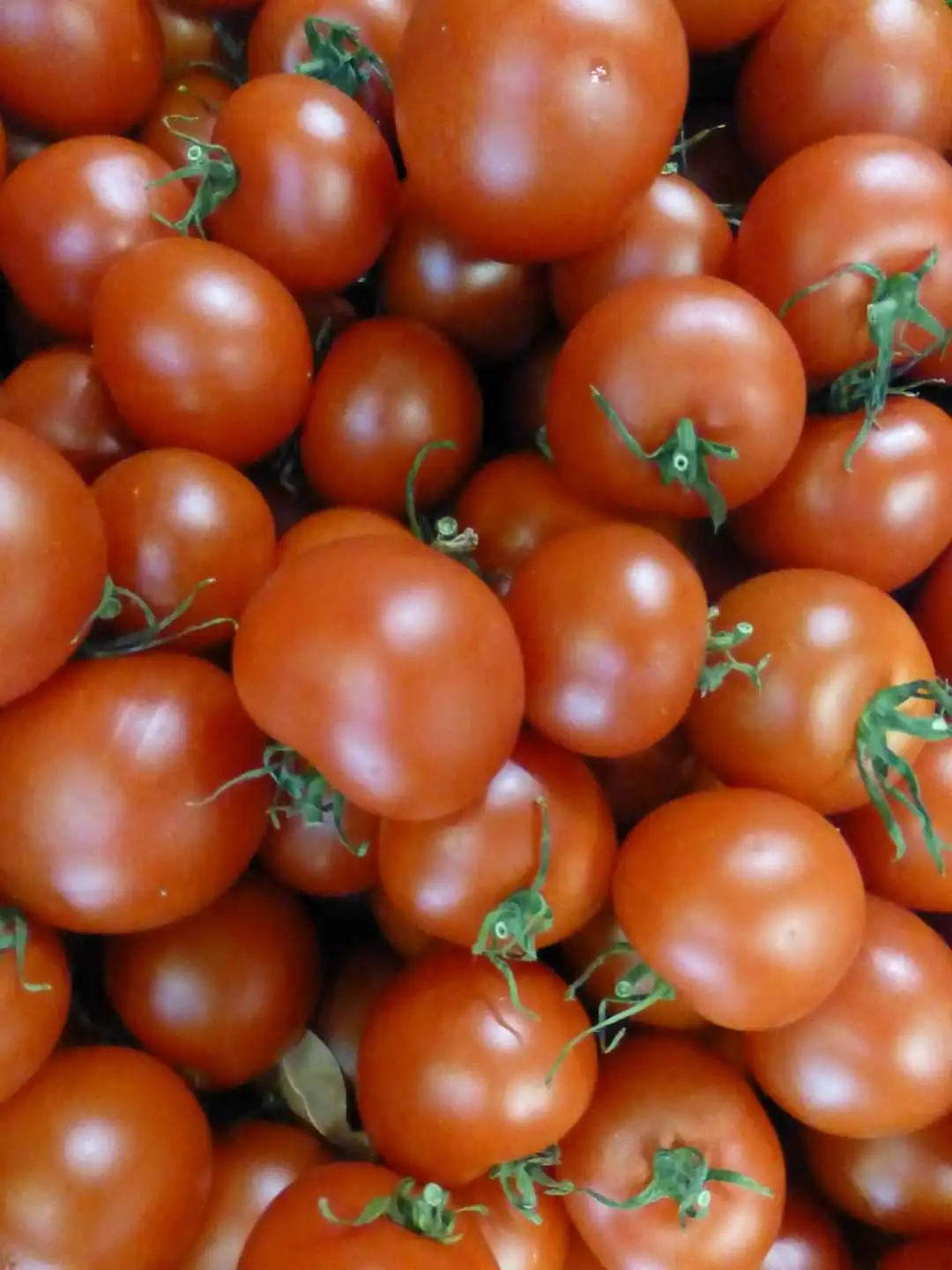 Оптовая продажа доступны свежие красные