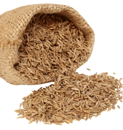 High Quality Nature Cumin Seeds Single Spices Seasoning fennel seed and cumin seeds Pure Organic Agrowell Turkish Goods