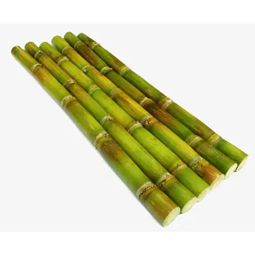 Refined Cane Sugar,.jpg