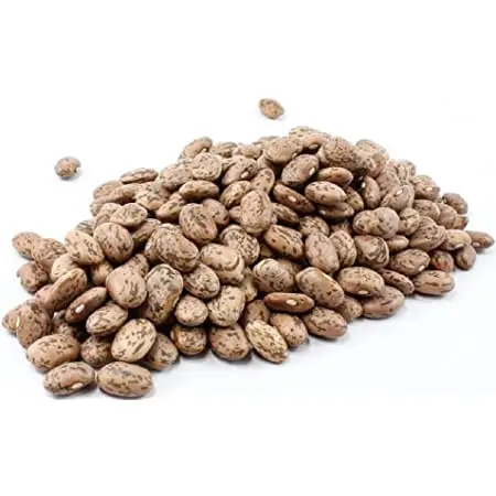 Beans in Tomato Sauce Red KOSHER Style Packaging Shelf Water Type Life Shape Year Bean Product ISO Salt HACCP Kidney Ingredients