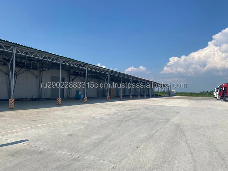 Services for the maintenance of vehicles with or without cargo temporary storage quality control