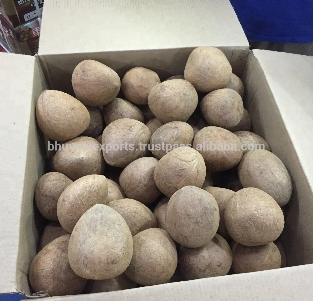 Edible Grade Whole Dried Coconut 100% Natural White Copra Reasonably Priced round Ball Style from India Exporter