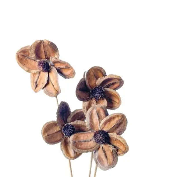 High Quality Jacaranda Flower For Home Wedding Decoration Dried Flower Christmas New Year Decor