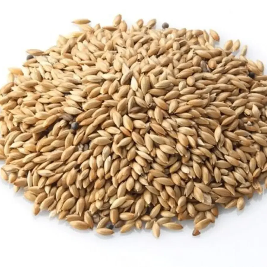 Buy Wholesale Canary Seeds Price /Canary seeds for birds