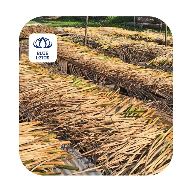 Dried Water Hyacinth Natural