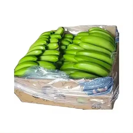 Wholesale 100% Natural Cavendish Banana/ Green Banana for Sale