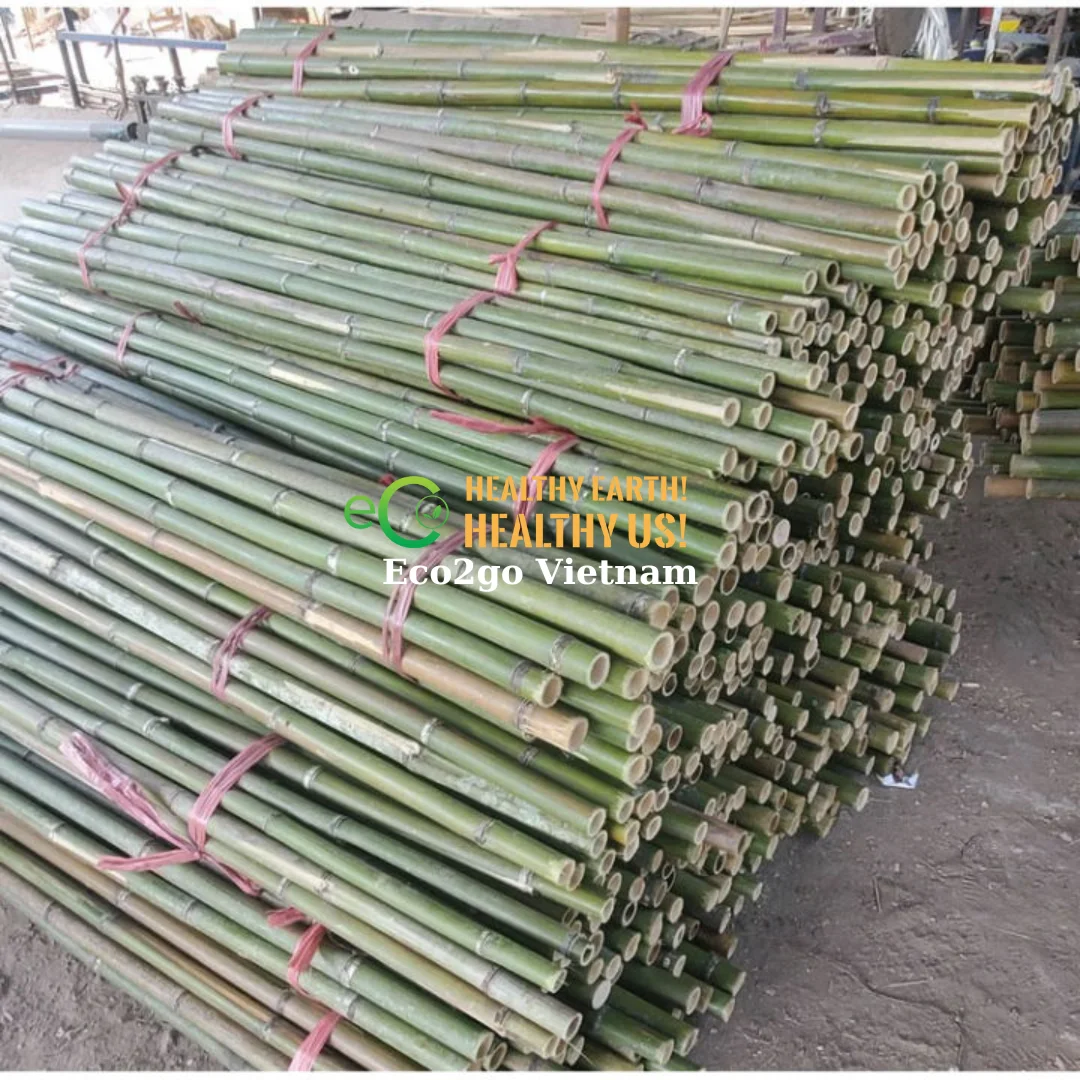 Good Price And High Quality Bamboo Stakes Canes/ Bamboo Stakes Made In Vietnam By Eco2go Vietnam