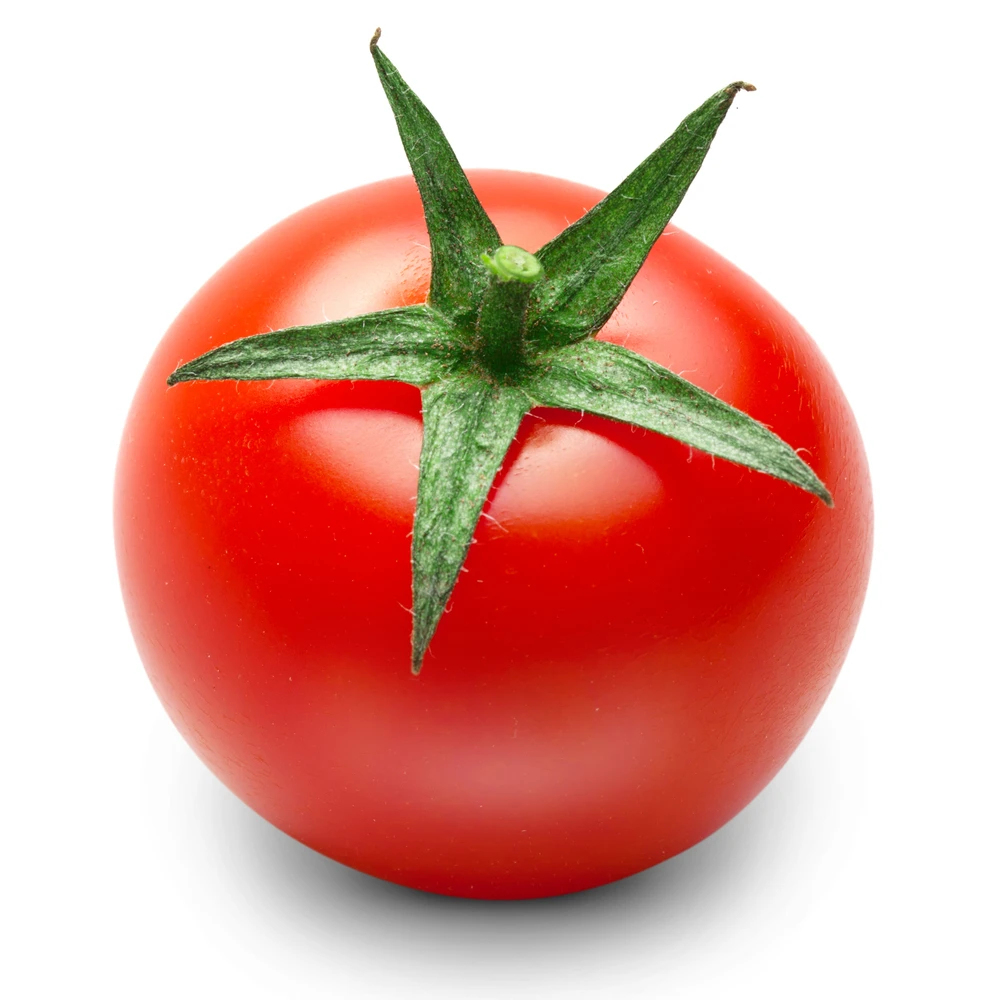 Вкусный свежий томатный экспорт по хорошей