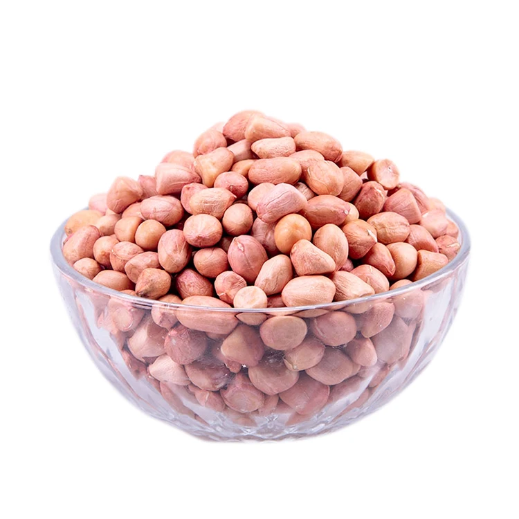 Buyers For Wholesale Jumbo Raw Peanuts High Quality Natural Bold Blanched Peanuts Kernels