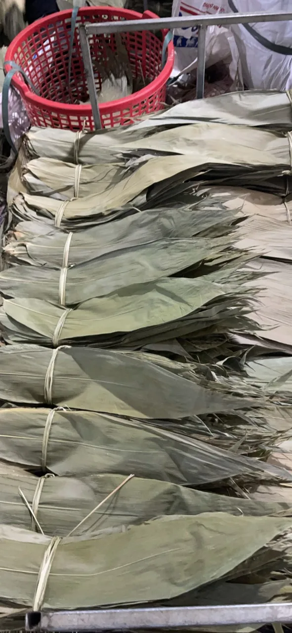 Vietnam Wholesale Dried Zongzi Leaves Bamboo Leaves Bamboo Eco-friendly Material Big Size with Competitive Price