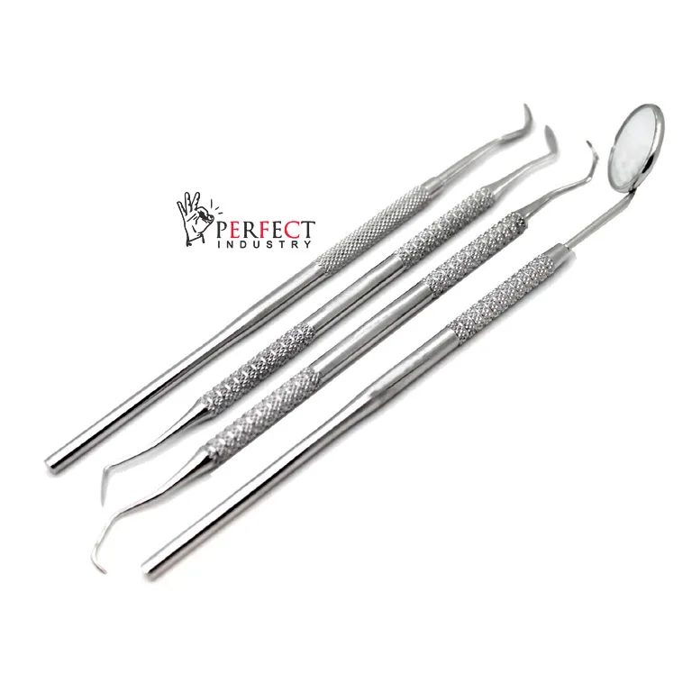 Perfect Industry 4pcs Dental Teeth Cleaning Kit Dentist Floss Plaque Remover Oral Care Tooth Tools / Dental Examination Kit