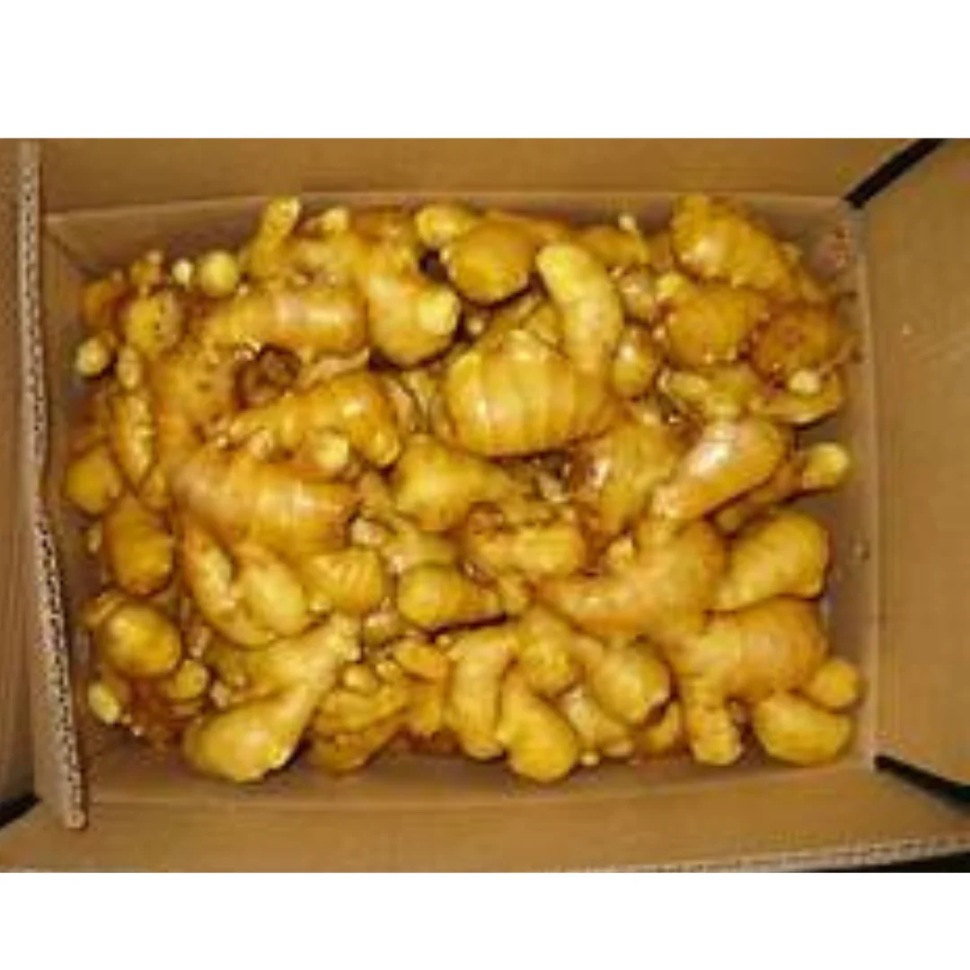 Raw Fresh Ginger   Many Different Size ( 50, 60, 80, 100, 120 gram up) In packing Bulk and Mesh Bag