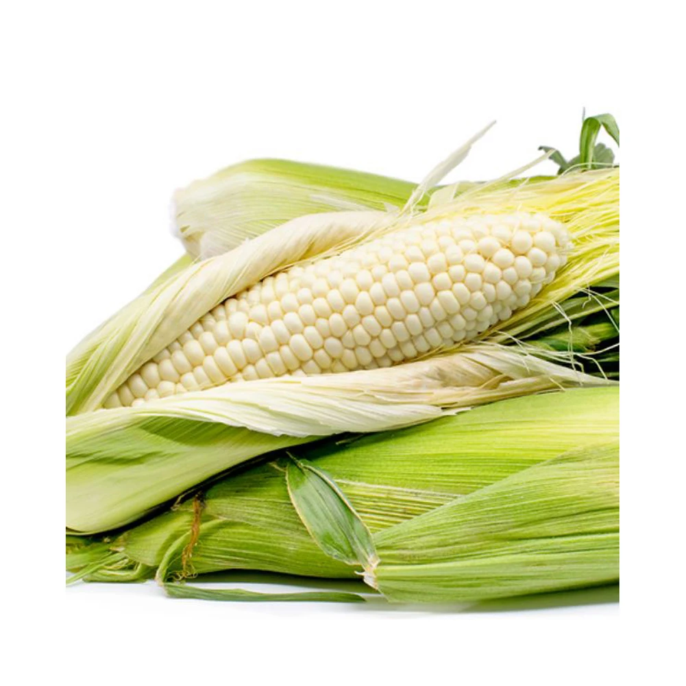 Yellow Corn/Maize for Humans and animal Feed White CORN FOR POULTRY FEED