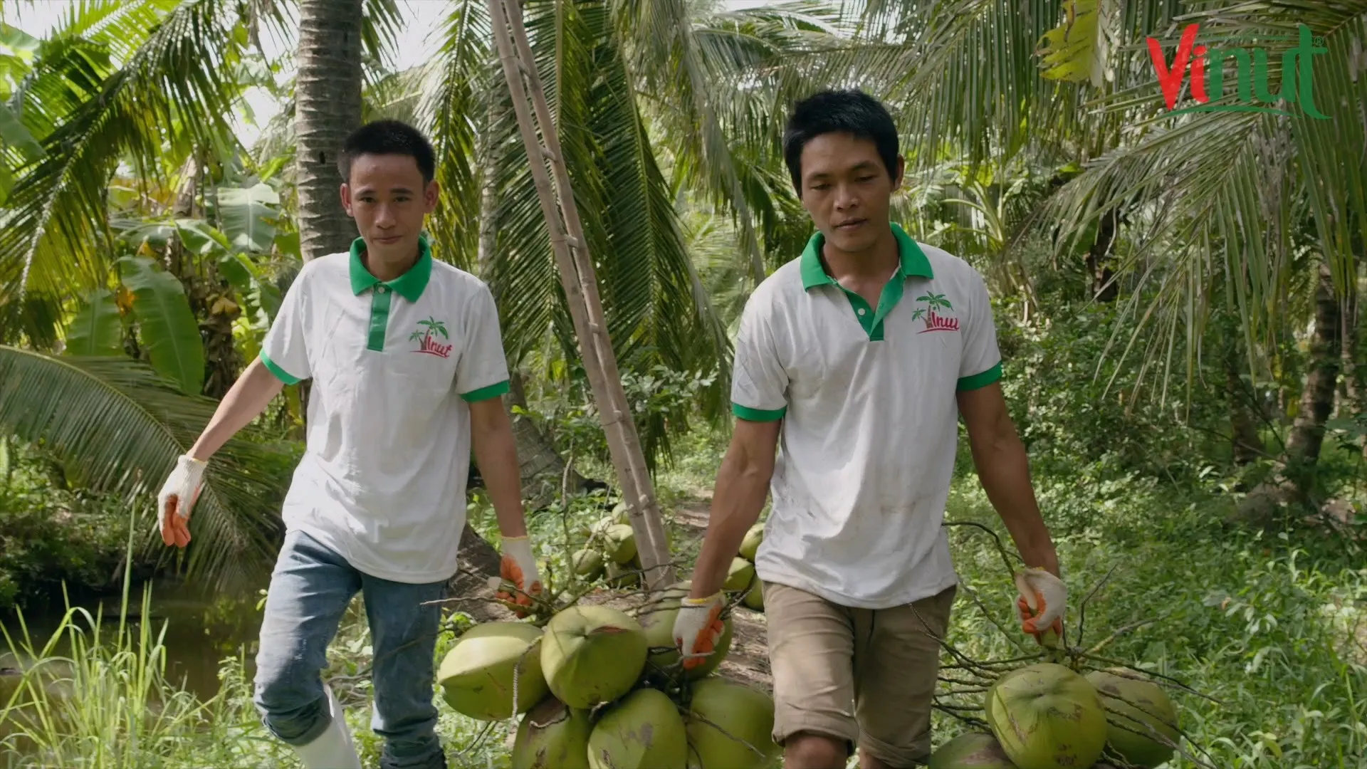 Coconut Milk hot sale 400ml Can Tin VINUT Coconut milk with 20-22% Fat Wholesale Price By VINUT Supplier