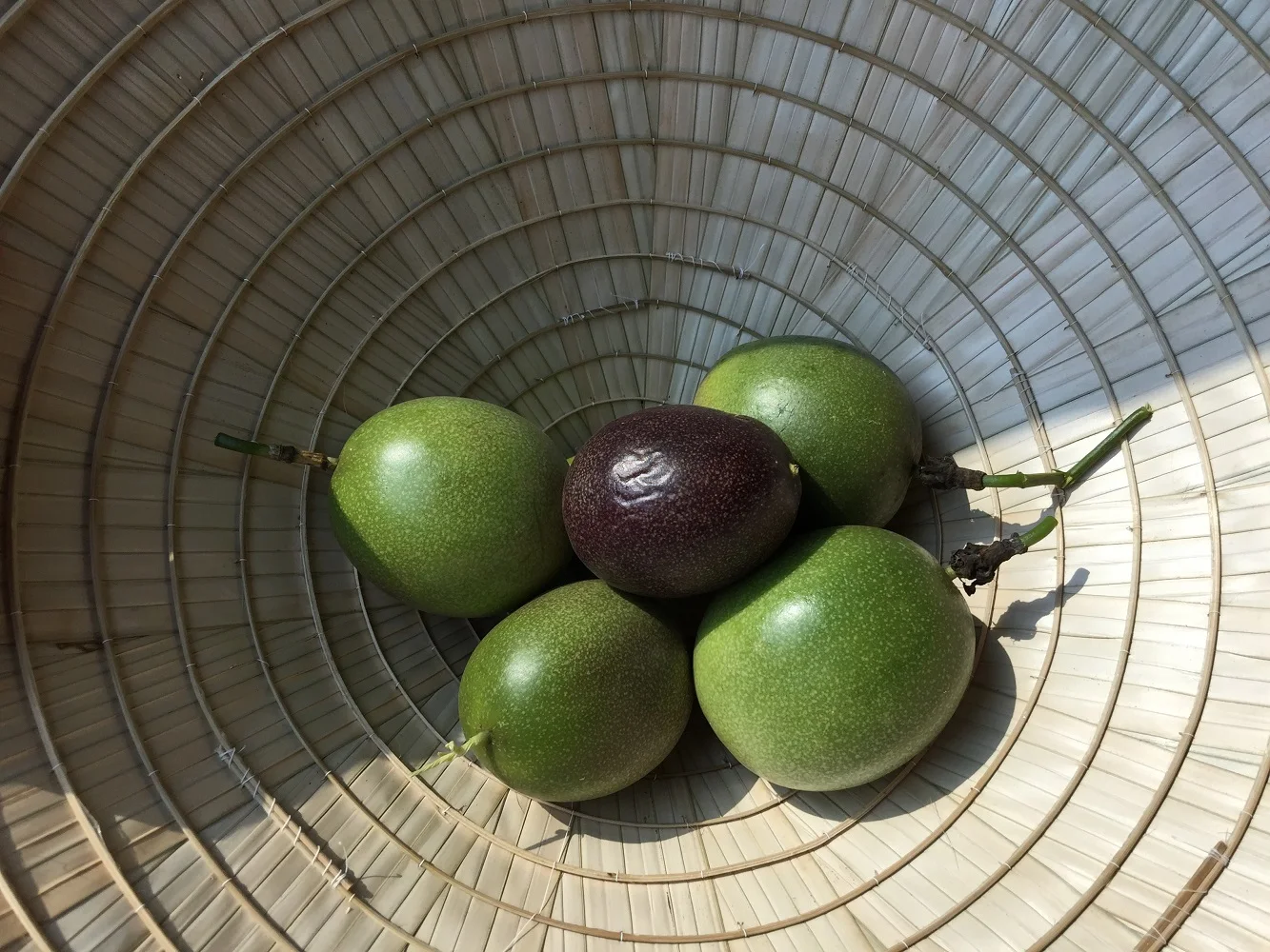 Organic Box Bulk Fresh Naturally Taste Natural Flavor Normal Feature Frozen Passionfruit Puree Seed-out