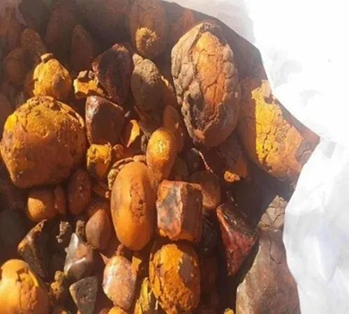 Wholesale Bovine gallstones ,ox cow gallstone, cattle gallstones