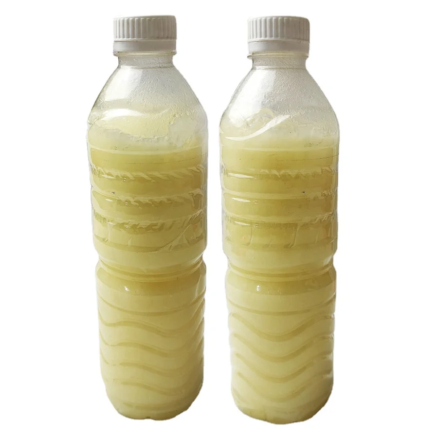 Good Quality RBD Palm Kernel Oil - Indonesian Refined Kernel Oil bulk for butter cooking material