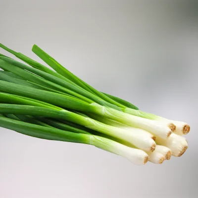 Fresh high quality green onions from Egypt