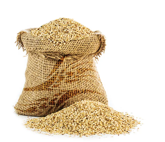 bag-sesame-light.jpg