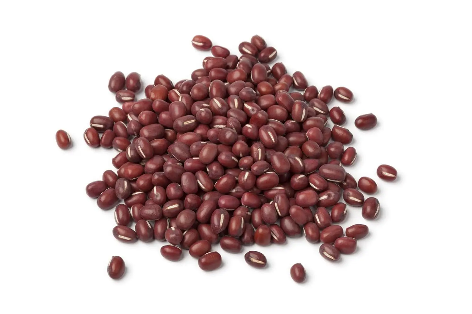 Buy Bulk Adzuki Beans, Organic