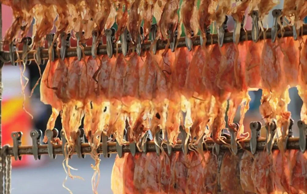 Dried Squid Calamari OEM Bulk Packaging Export Nutritious Fresh Squid From Viet Nam Factory