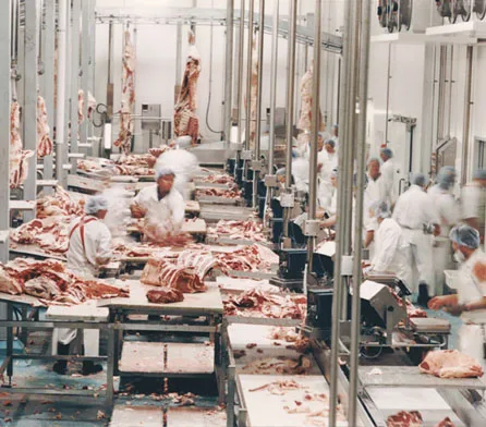 Замороженное Свиное мясо, живот/ребро/готов к отправке в любом порте по вашему выбору