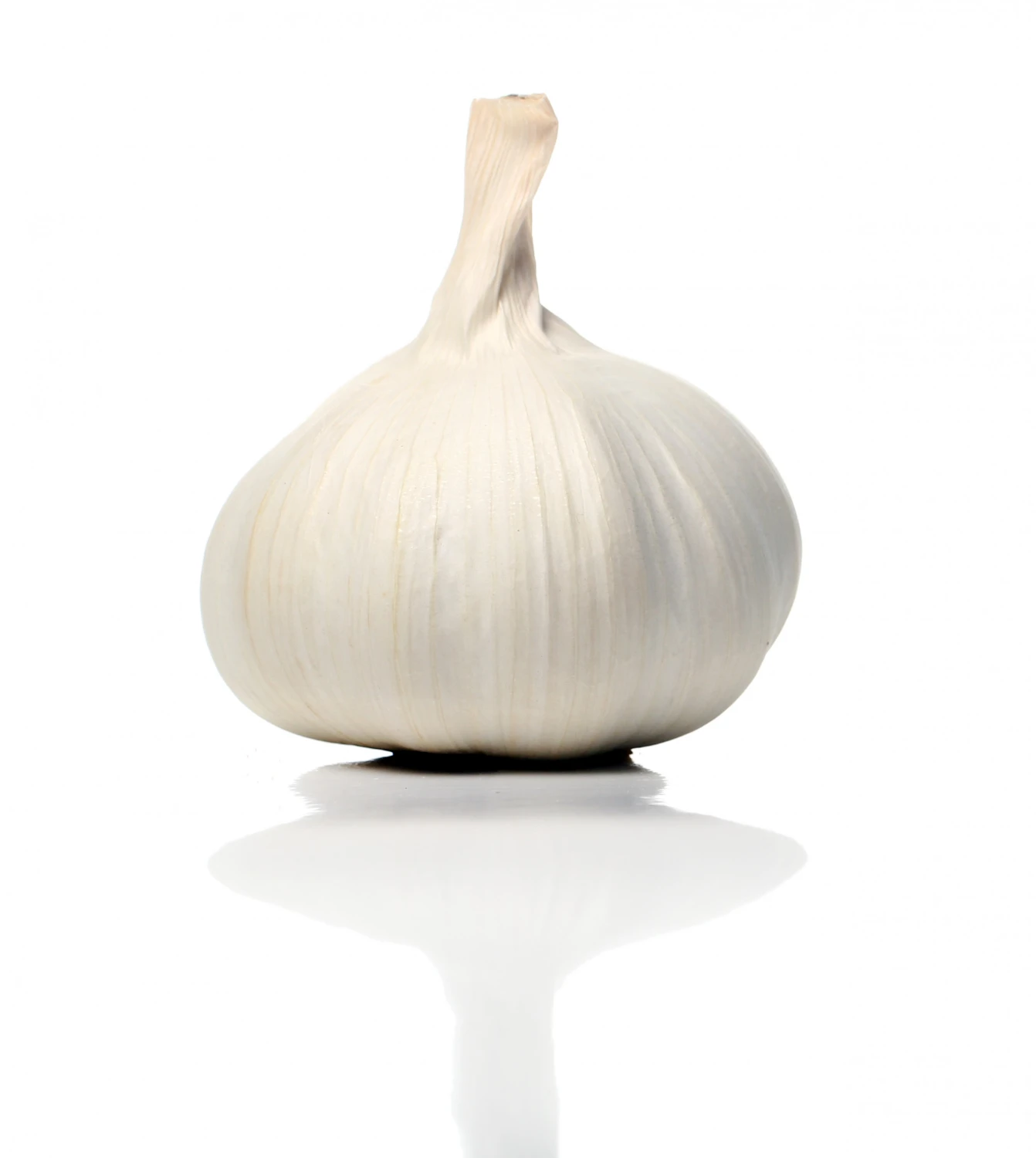 TOP QUALITY FRESH GARLIC