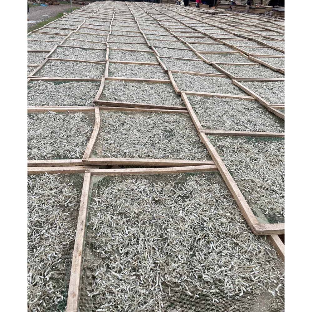 Best Price Factory Professional Production Bulk Dried Anchovy Dried Salted Anchovy Dry Anchovy Fish From Vietnam