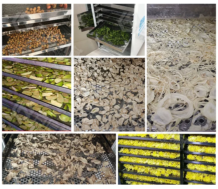 Industrial Food Fruit Dryer Oven Heat Pump Dehydrated Onion Drying Machine Garlic Drying Equipment
