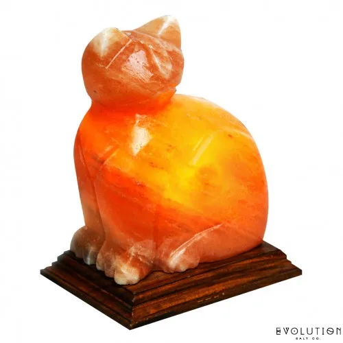Special Design Animal Theme Himalayan Cat Shape Crystal Rock Salt Lamp, Best Handcrafted Decorative Pink Salt Stone Lamps