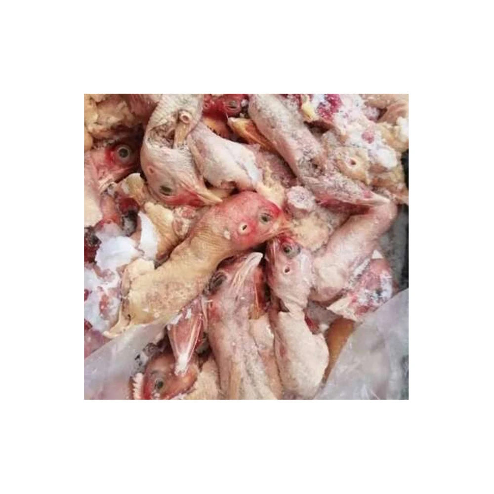 Best Online Selling Frozen and Fresh Whole Bulk Selling Chicken Heads at Best Price from Wholesale Supplier and Exporter