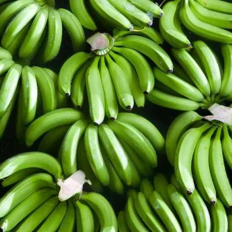 Свежий банан Cavendish, экспортирующий класс 1 | Вьетнамский банан