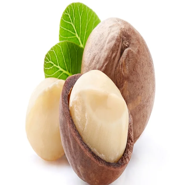 Bulk Organic Macadamia Nuts Wholesale Supplier Best Price In Stock Buy Now Fast Shipping For Sale