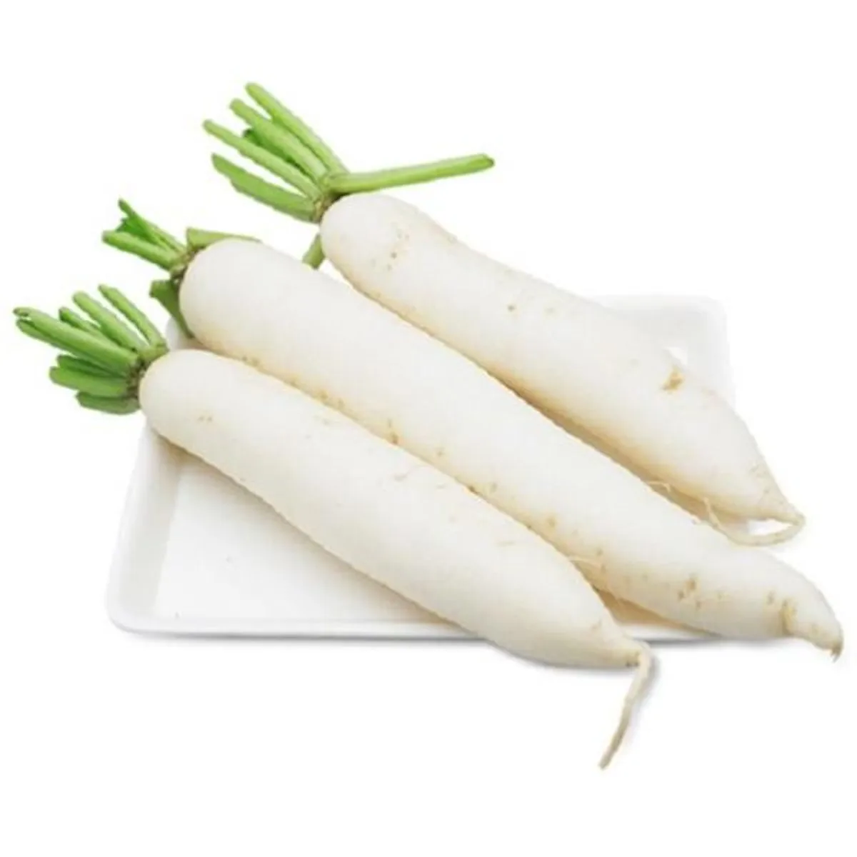 For Sale New Season 2023 OEM Fresh Frozen White Radish From Vietnam With Competitive Price and High Standard