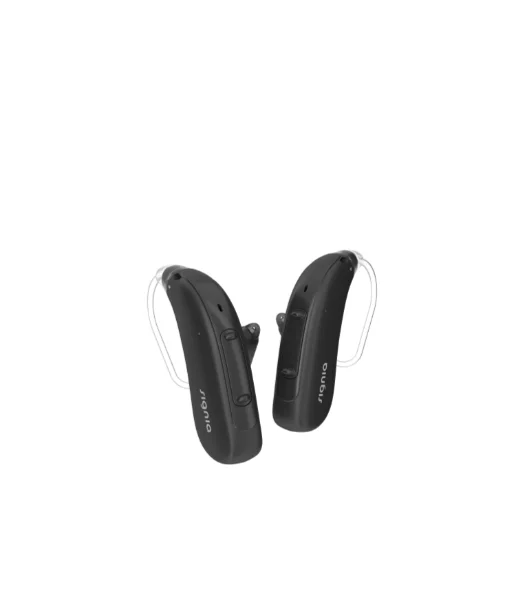 Hearing Aid Bte Rechargeable Mini Hearing Aid Bte Wireless Products Digital Part Deaf Rechargeable Manufacturer bte Hearing Aid