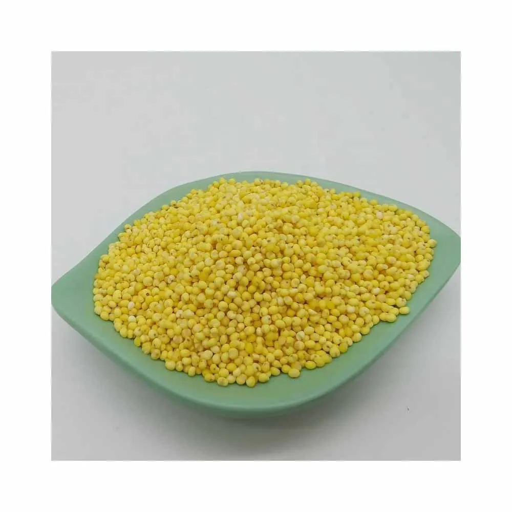 Bird Feed Yellow Broom Corn Millet peas for Bird Food