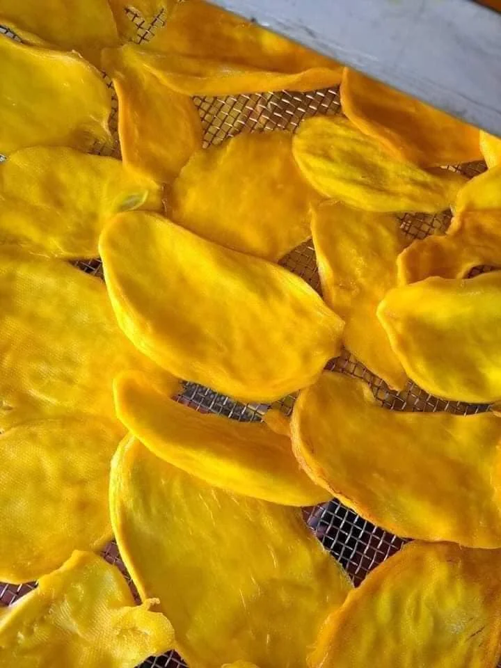 Cheapest price natural dried mango with high quality grown in Vietnam  Ms Mary