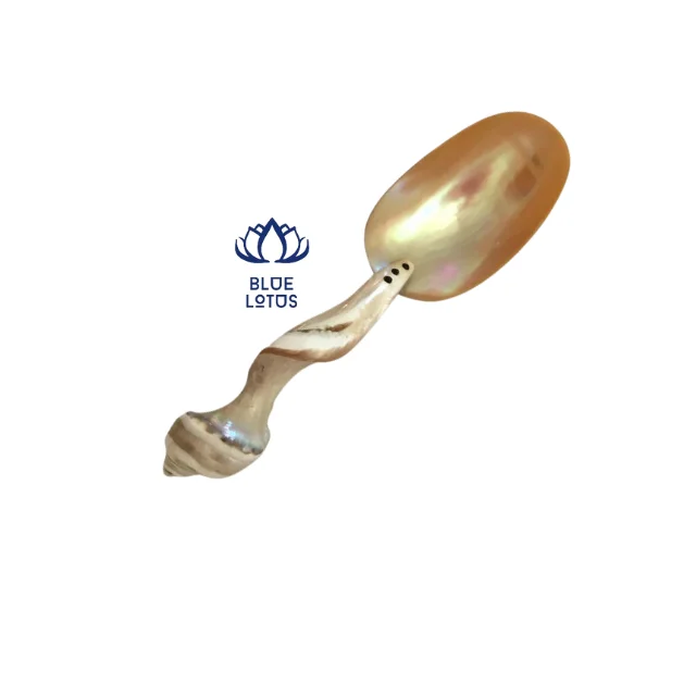 Conch Seashell Spoon Caviar for Export