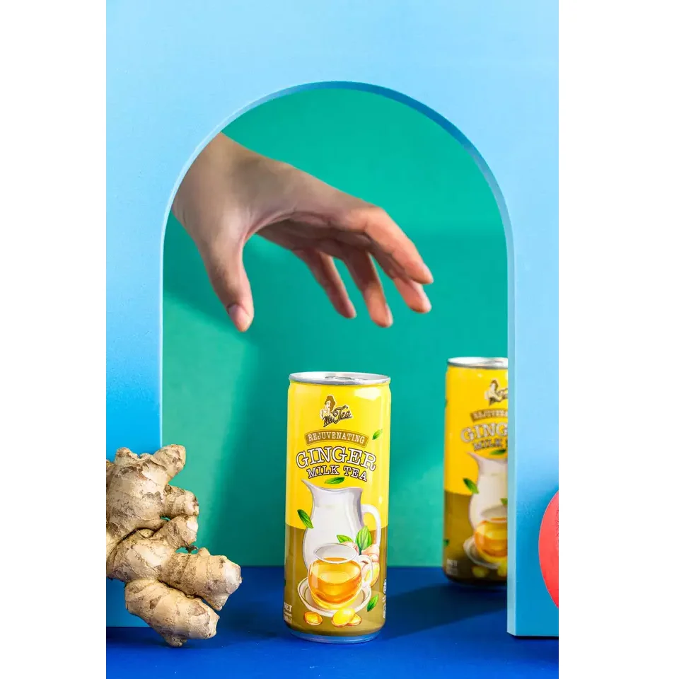 Natural Ginger Flavor Energize Blended Instant Bulk MR TEA Ginger Milk Tea 240ml x 24c from Malaysia