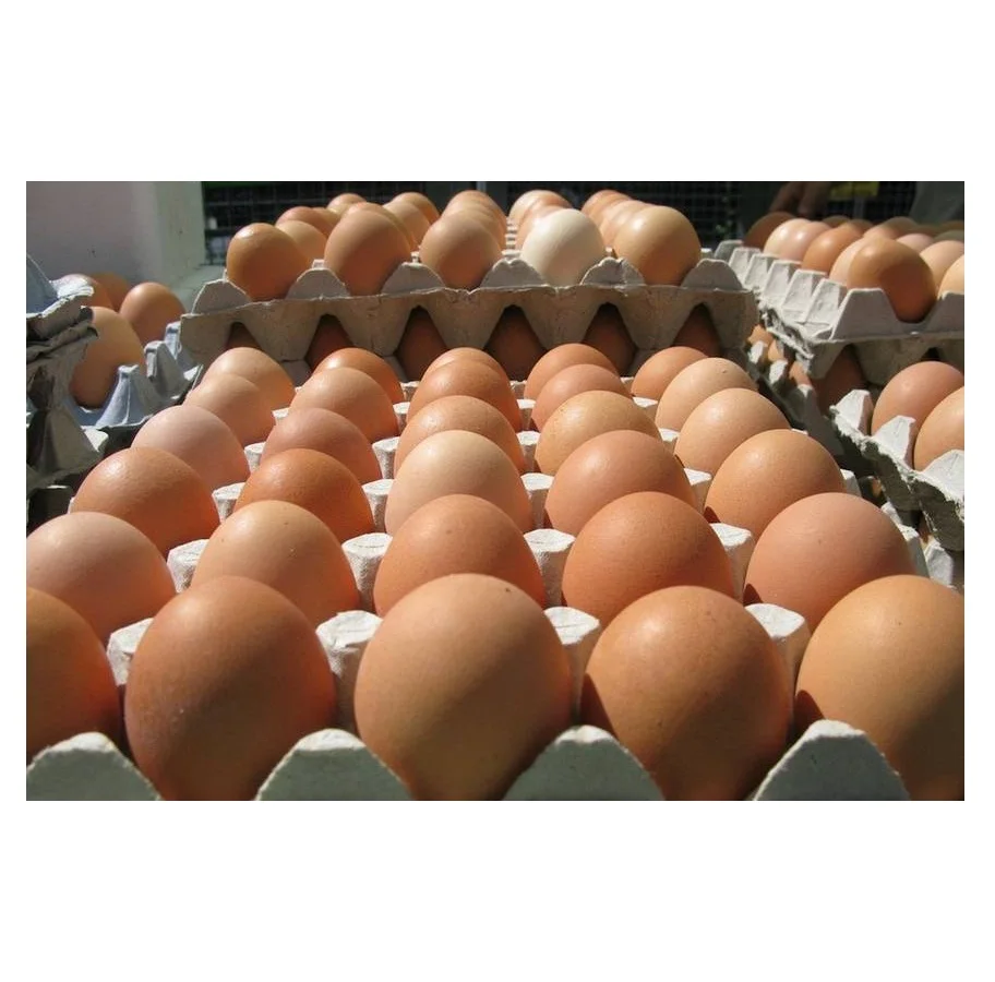 Fresh White and brown table eggs