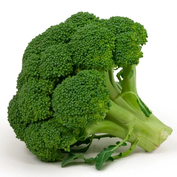 New Season Low Price Brocoli IQF Broccoli Vegetables Frozen Broccoli Vegetables