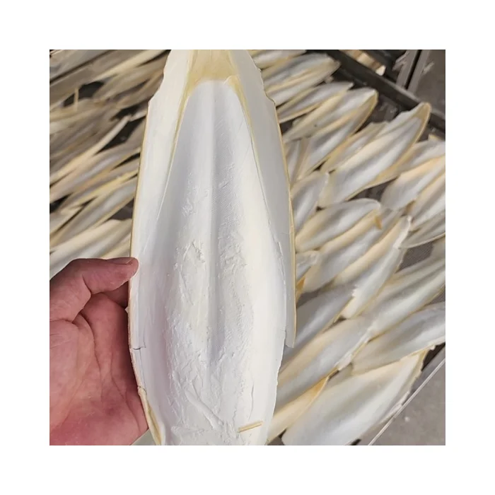 Buy Cuttlefish Bone Online: Natural Drying Process, Perfect for Avian Feeds, Vietnam Export Ready