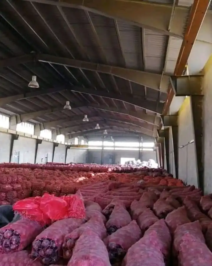 Fresh Red Onion Turkey 50mm size fresh red Turkish onions