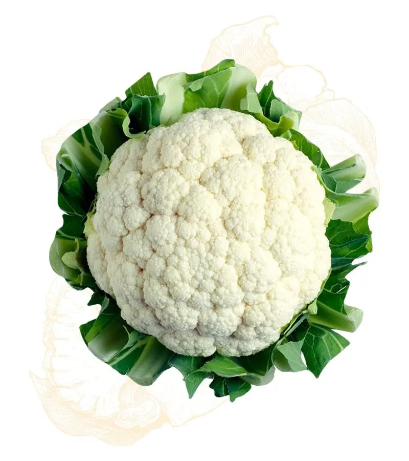 High Quality Hybrid Seeds Factory Direct Selling Quality Fresh Agricultural produce fresh cauliflower /Fresh Cauliflower