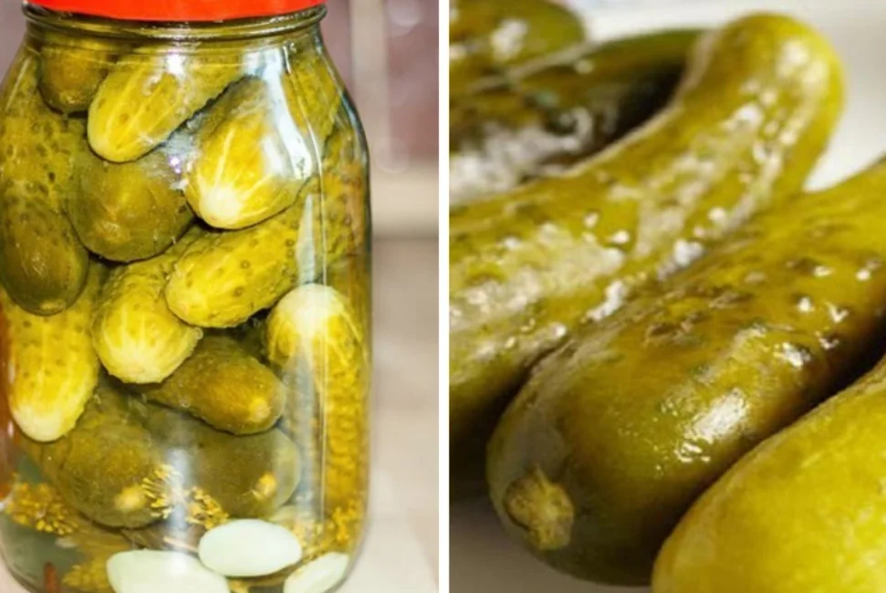 Cucumber Pickled Gherkin At A Special Price To Be Used As A Favorite Side Dish Ready For Delivery