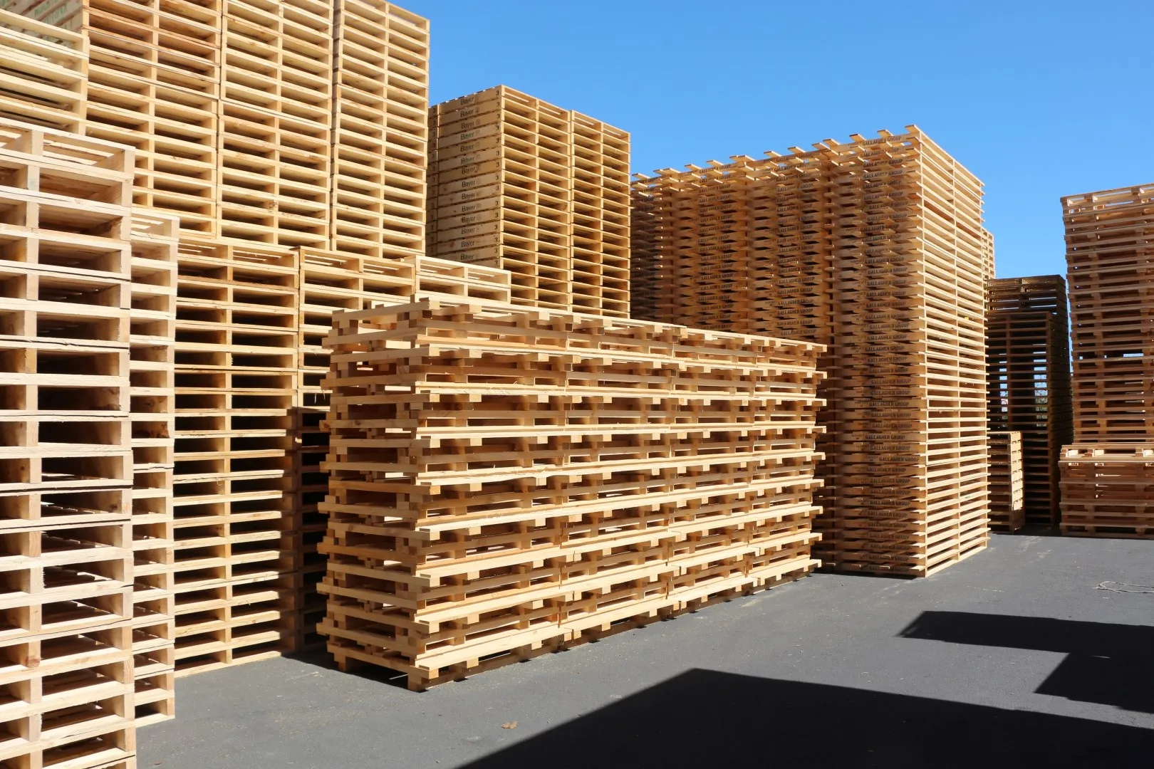 Factory price Wooden Pallets - OEM ODM wooden  pallets 1200*800