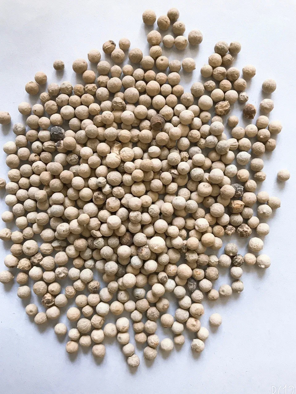 High Quality White Pepper Super Aromatic  630GL  DW origin Vietnam // Ms Lucy +84-975807426 (WA/Viber)