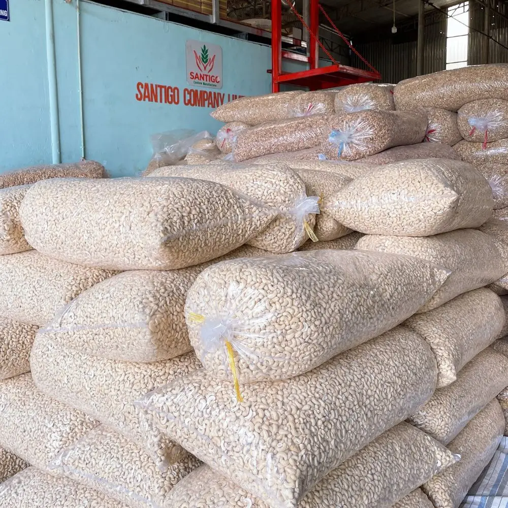 Trusted Factory Raw Cashew Nuts Cashew Nuts Vietnam Cashew Nut Customized Packing