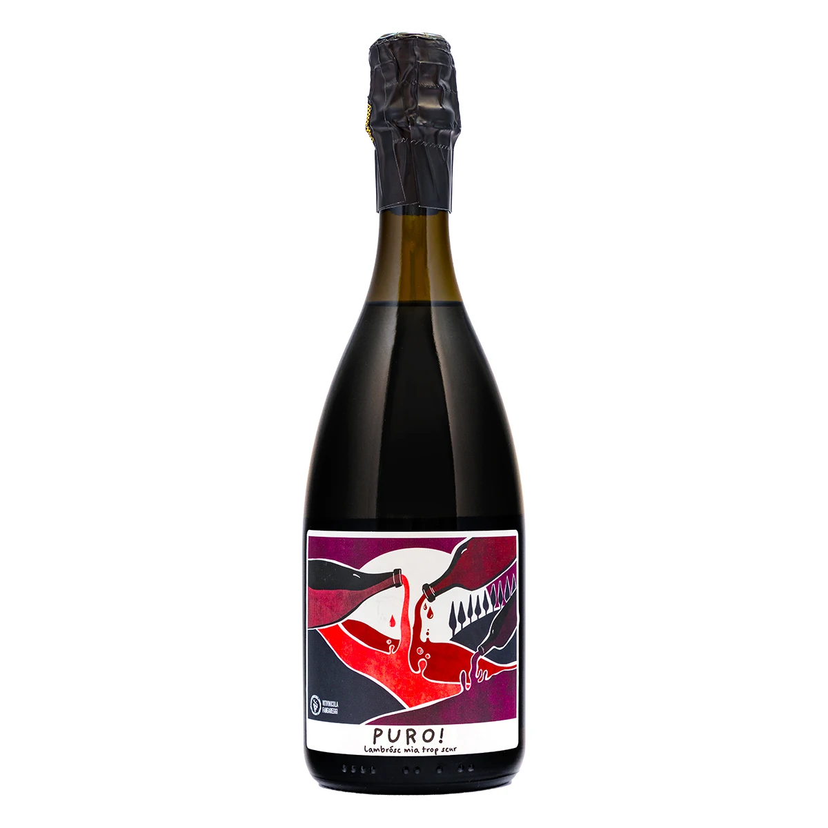 Vitivinicola Fangareggi Top Quality Made in Italy Lambrusco Red Wine from Emilia Romagna Bottle 0.75 L
